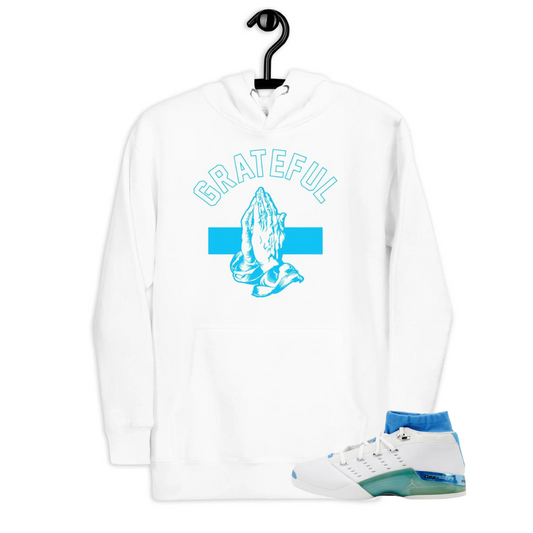 Jordan 17 Low Unc Grateful White Hoodie