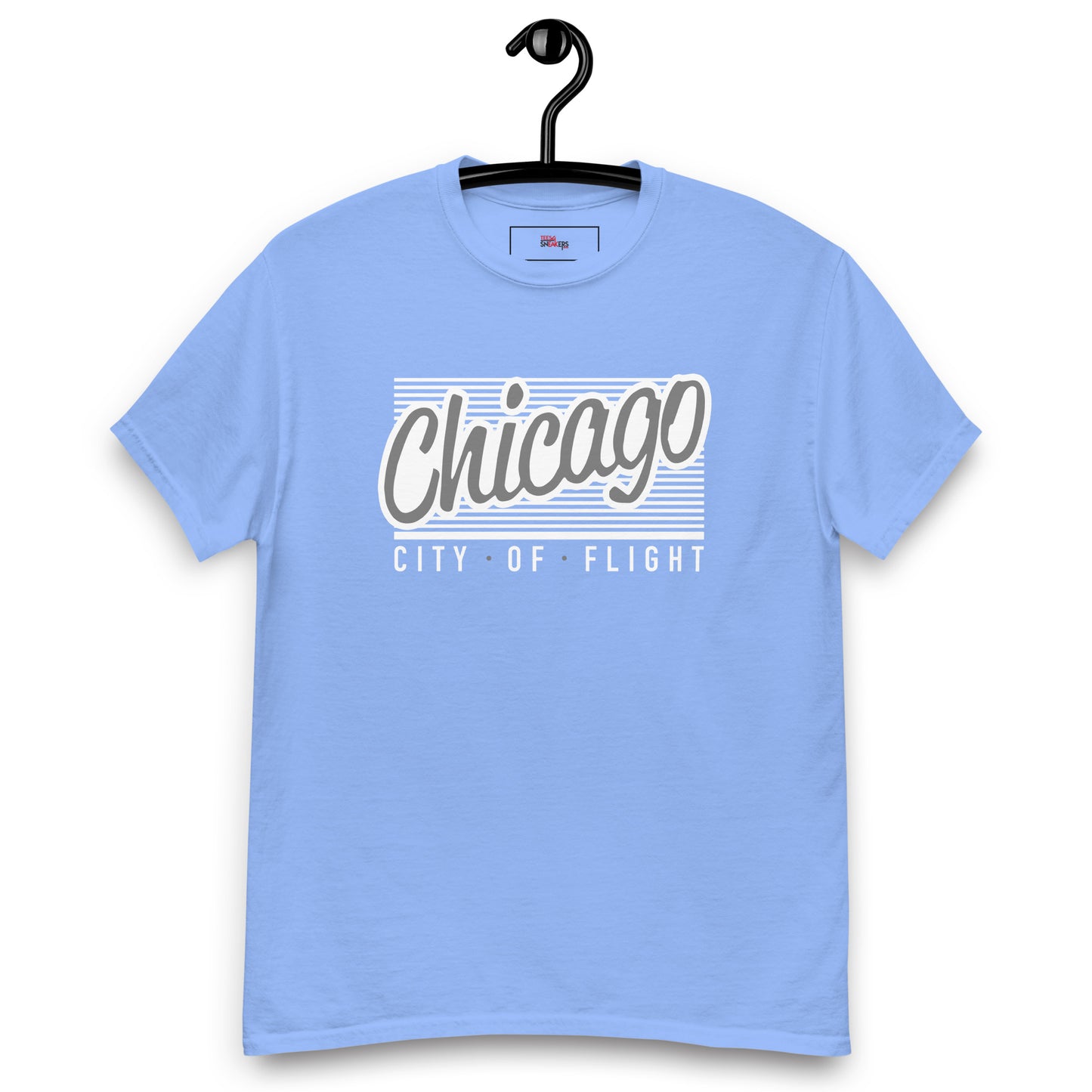 Jordan 17 low unc Chicago carolina blue tee